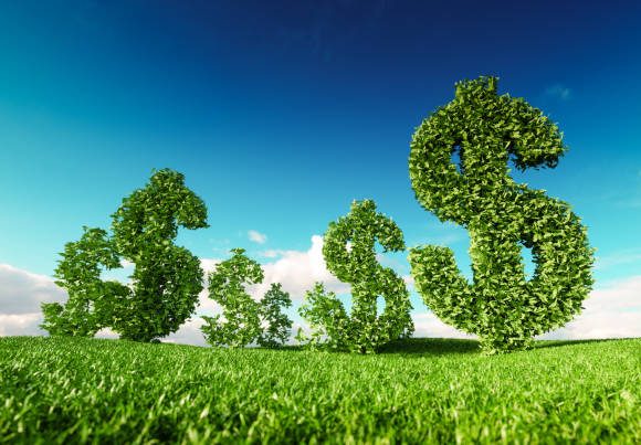 Paiement de la cotisation annuelle