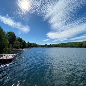 Tests d’eau du Réseau de Surveillance Volontaire des lacs (RSVL)