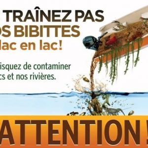 Nettoyage des embarcations, planches et objets flottants