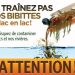 Nettoyage des embarcations, planches et objets flottants