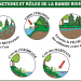 Protégeons notre bande riveraine